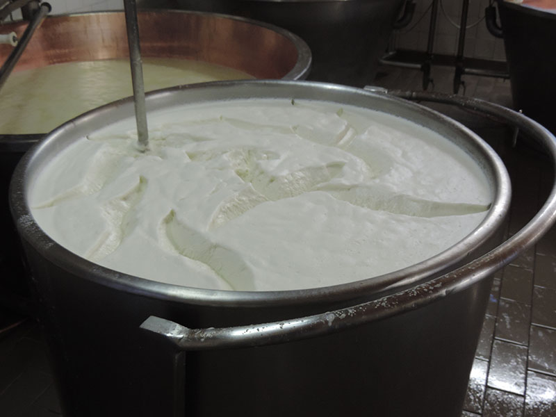 Ricotta-Caseificio-Borgonovo.jpg